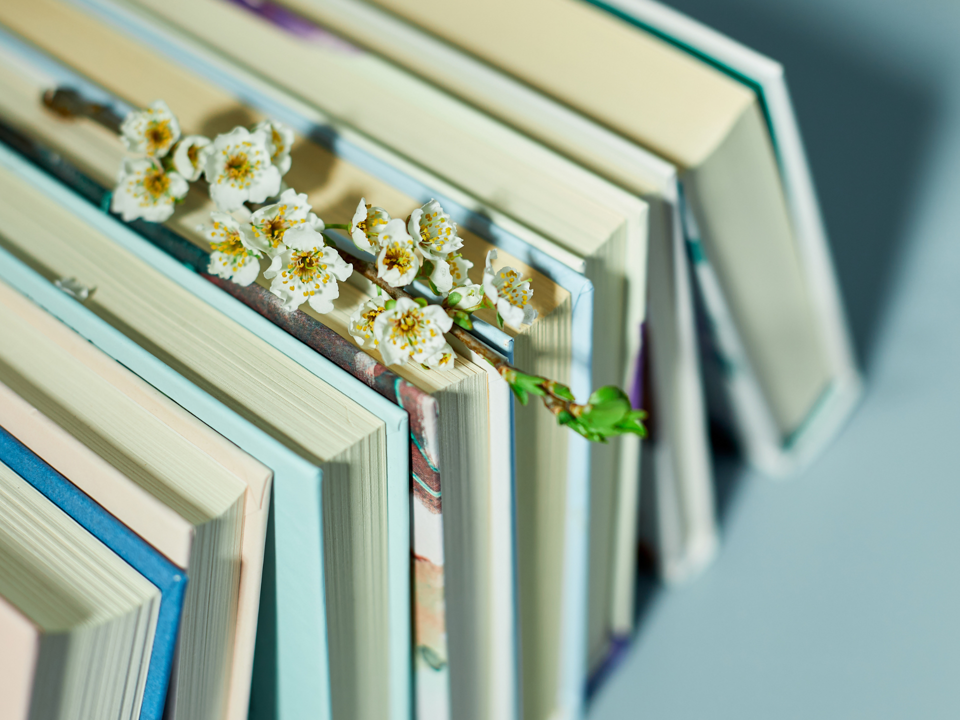 littérature signatures caraïbe par claire richer média art et littérature